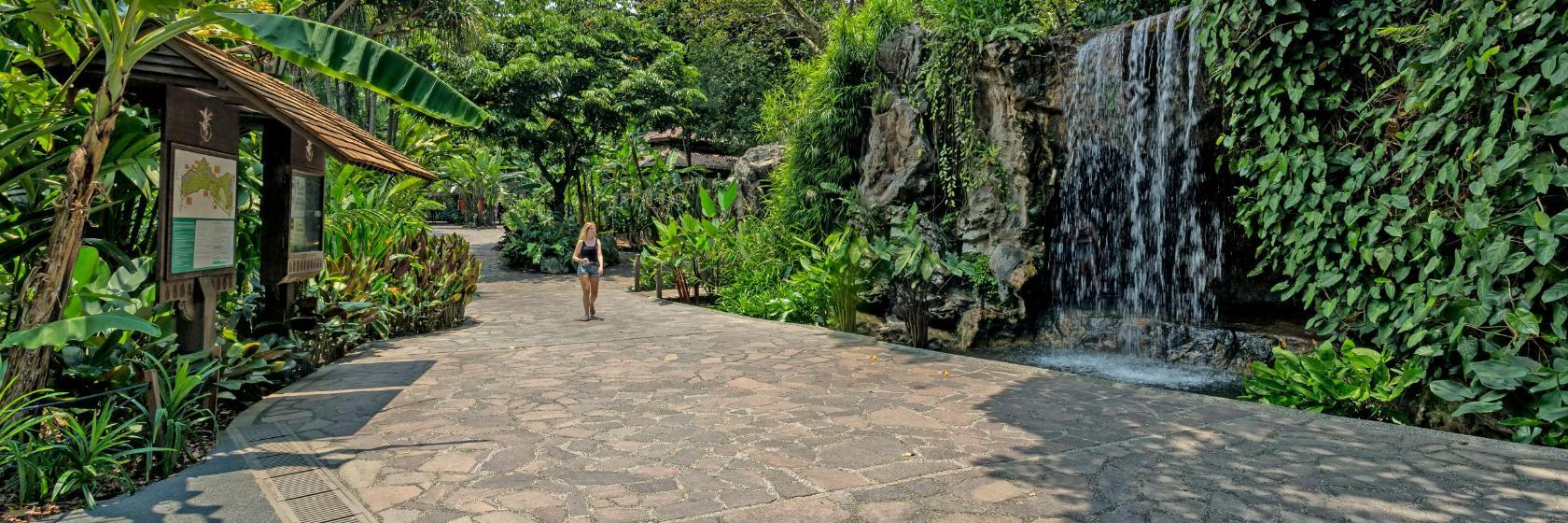 Giardini botanici di Singapore